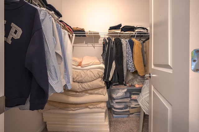 walk in closet featuring carpet floors