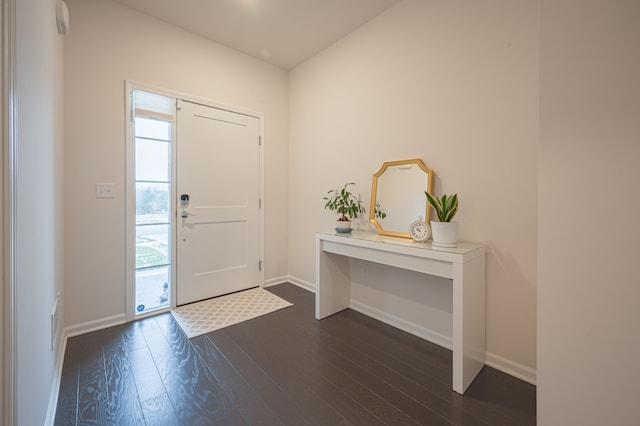 foyer entrance featuring dark hardwood / wood-style floors