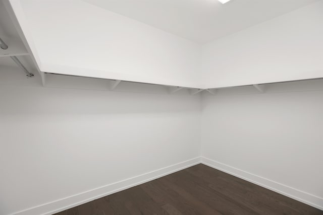 spacious closet with hardwood / wood-style floors