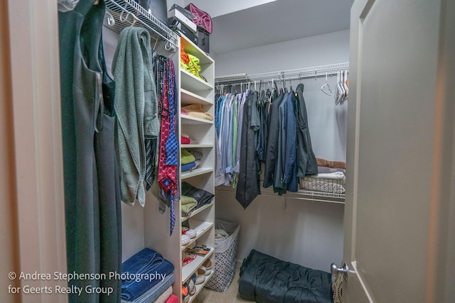 view of spacious closet