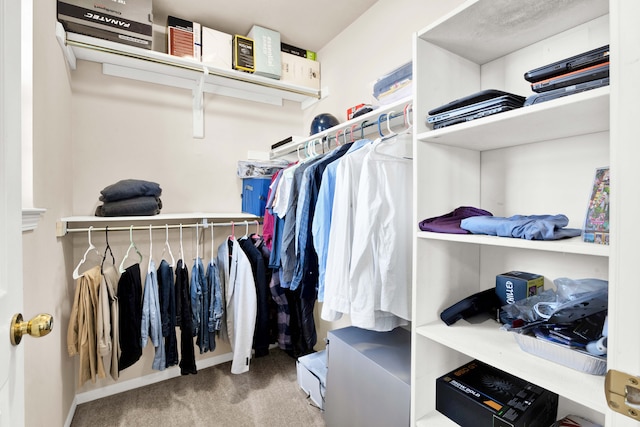 spacious closet featuring light colored carpet