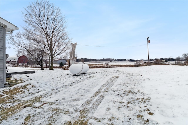 view of yard layered in snow