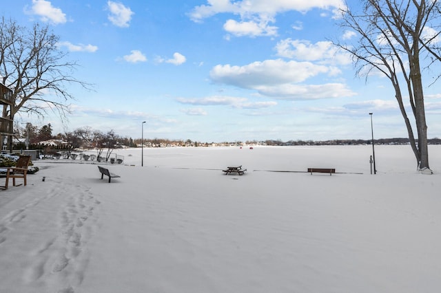 view of snowy yard