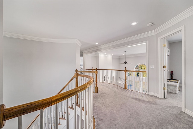 corridor featuring ornamental molding and carpet floors