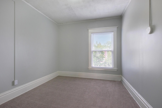 empty room with carpet, crown molding, and a textured ceiling