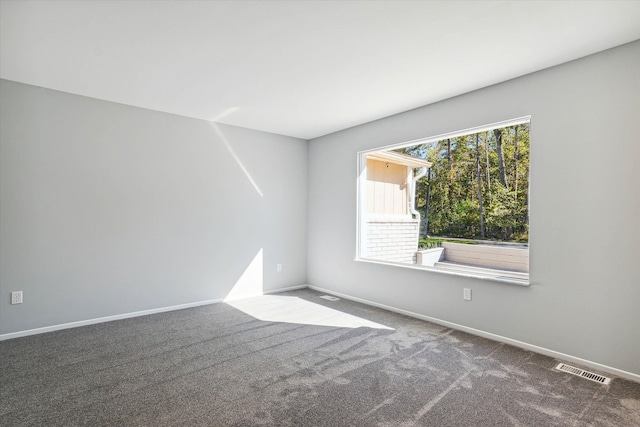 carpeted empty room with a wealth of natural light