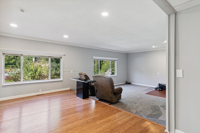 living room with light hardwood / wood-style flooring and crown molding