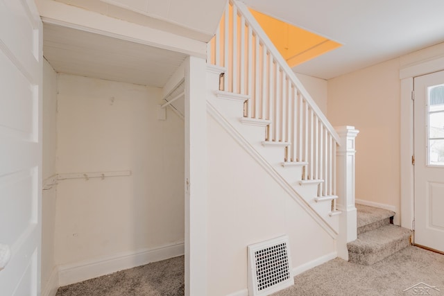 staircase featuring carpet flooring