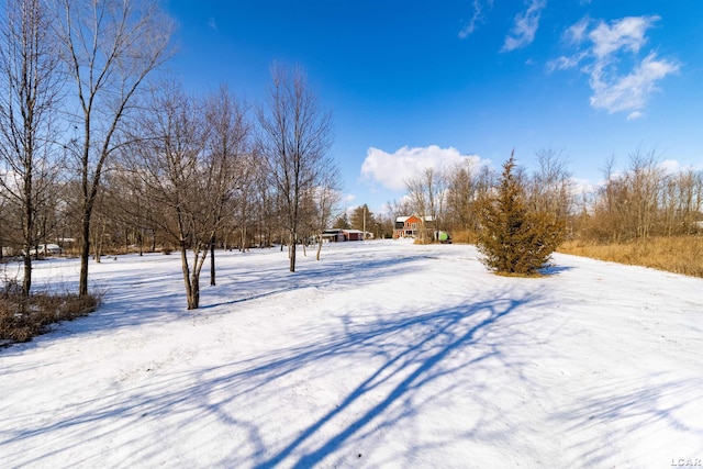 view of yard covered in snow