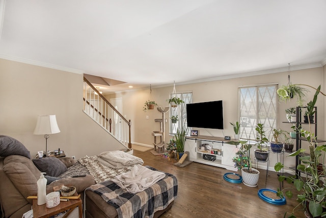 living room featuring dark hardwood / wood-style flooring and crown molding