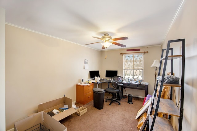 office space with ceiling fan, ornamental molding, and carpet floors