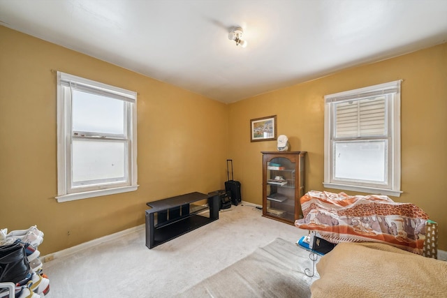 living area with carpet flooring