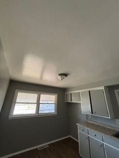 kitchen with gray cabinets and dark hardwood / wood-style floors