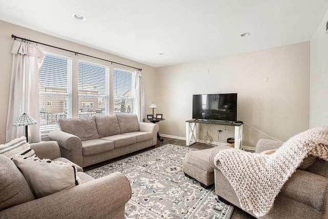 living room with wood-type flooring