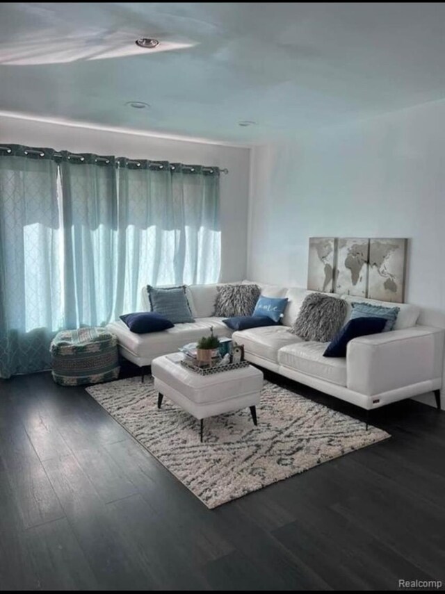 living room with hardwood / wood-style floors