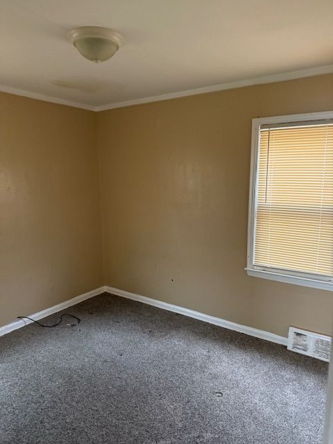 empty room with carpet flooring and crown molding