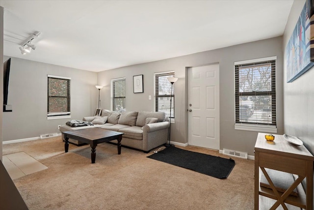 carpeted living room featuring a wealth of natural light and track lighting