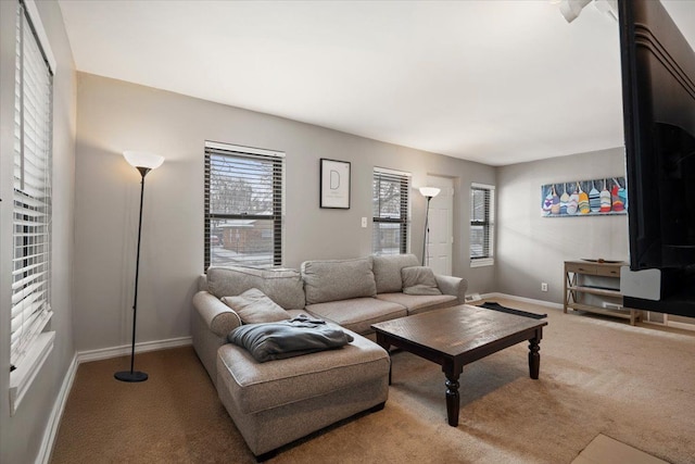 living room with carpet floors