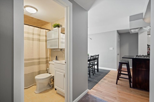 bathroom featuring toilet, vanity, and hardwood / wood-style flooring