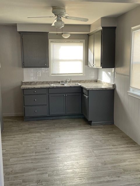 kitchen with gray cabinets, light hardwood / wood-style flooring, ceiling fan, and sink