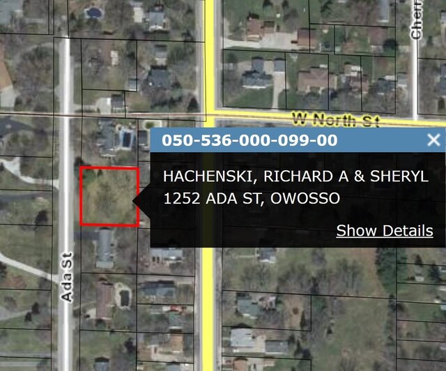 1252 Ada St, Owosso, MI 48867