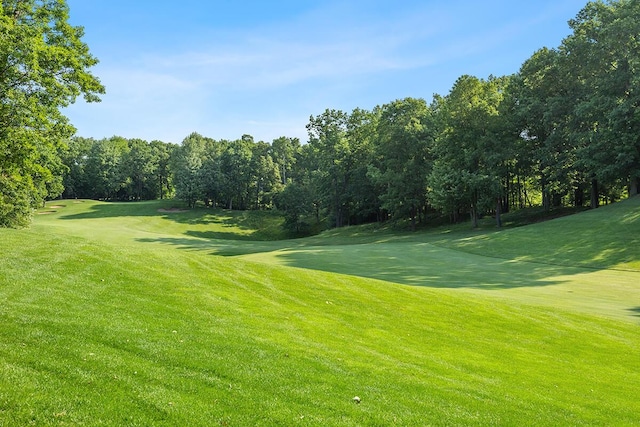 view of property's community featuring a yard