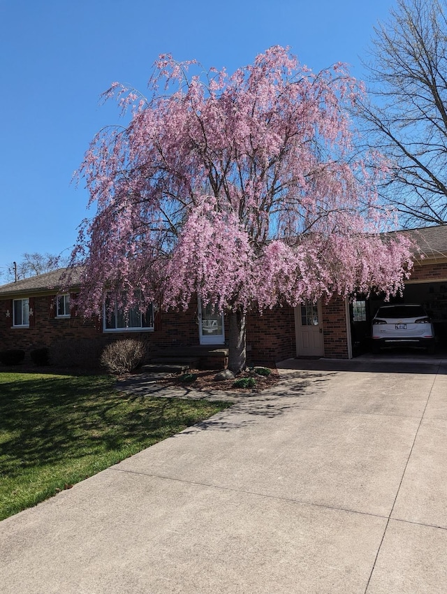 view of front of house with a carport and a front lawn