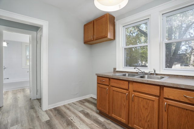 kitchen with light hardwood / wood-style flooring and sink