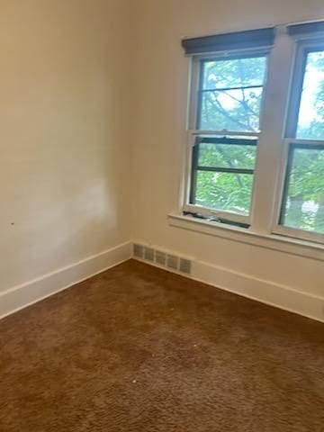 carpeted spare room featuring plenty of natural light