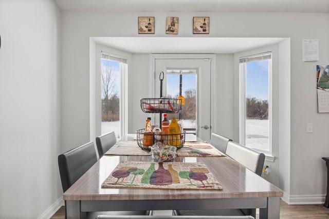 dining room featuring wood-type flooring