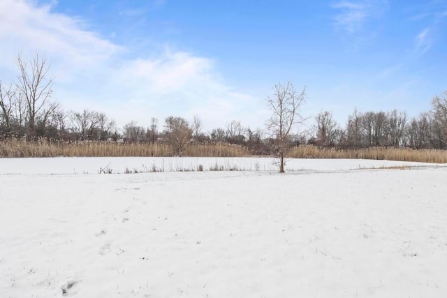 view of yard layered in snow