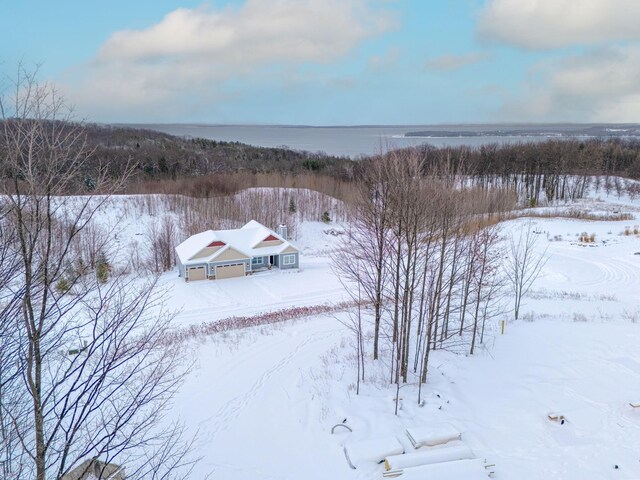 1949 N Blue Water Ct, Suttons Bay, MI 49682