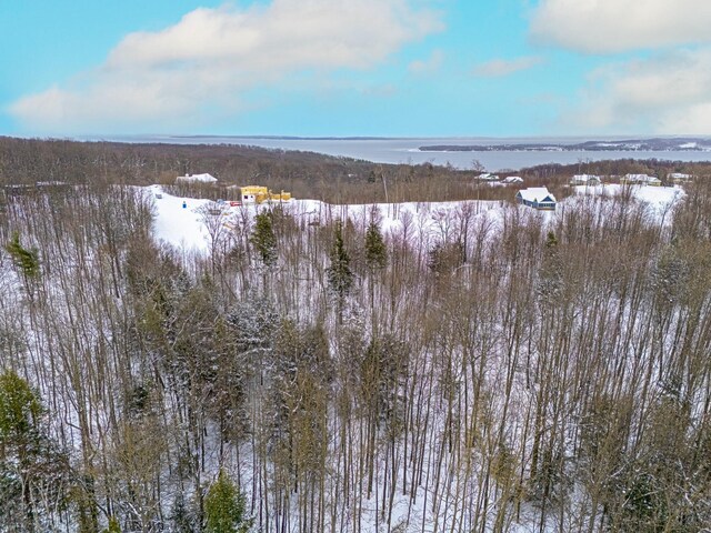 1949 N Blue Water Ct, Suttons Bay, MI 49682