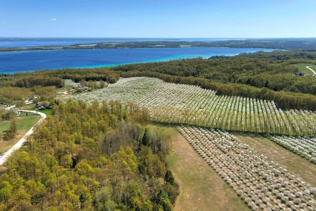 1949 N Blue Water Ct, Suttons Bay, MI 49682