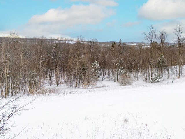 1949 N Blue Water Ct, Suttons Bay, MI 49682