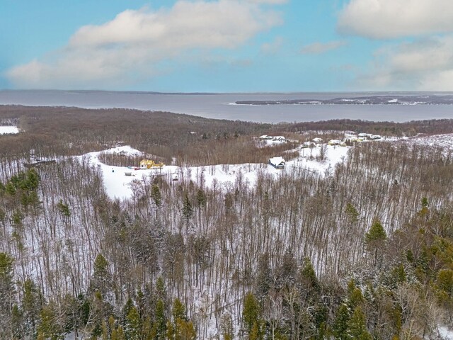 1949 N Blue Water Ct, Suttons Bay, MI 49682