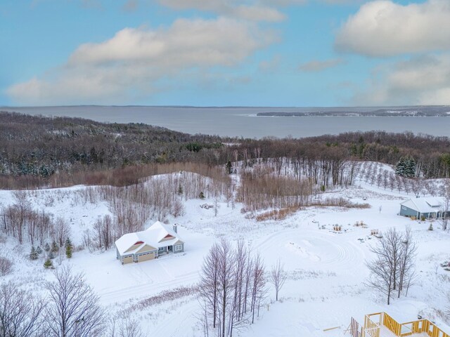 1949 N Blue Water Ct, Suttons Bay, MI 49682