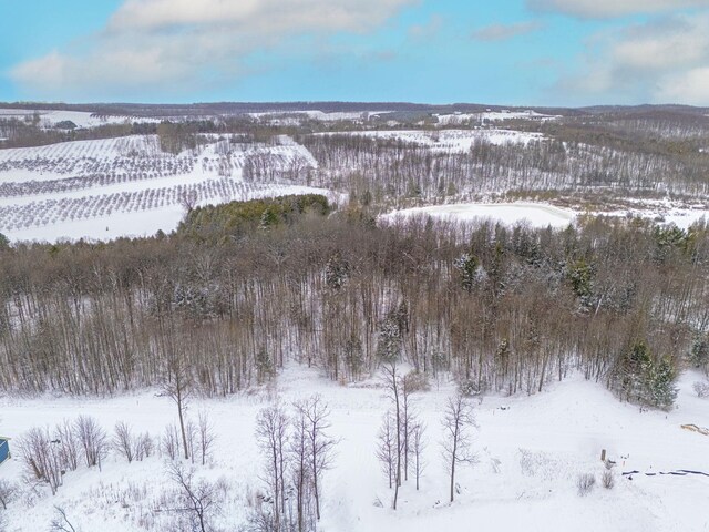 1949 N Blue Water Ct, Suttons Bay, MI 49682