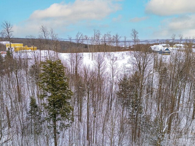 1949 N Blue Water Ct, Suttons Bay, MI 49682