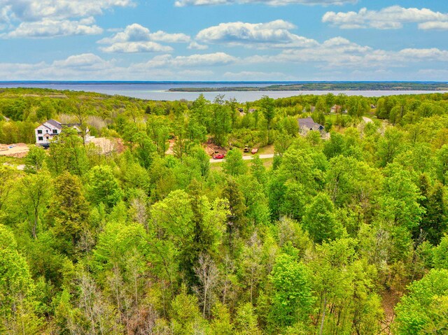 1949 N Blue Water Ct, Suttons Bay, MI 49682