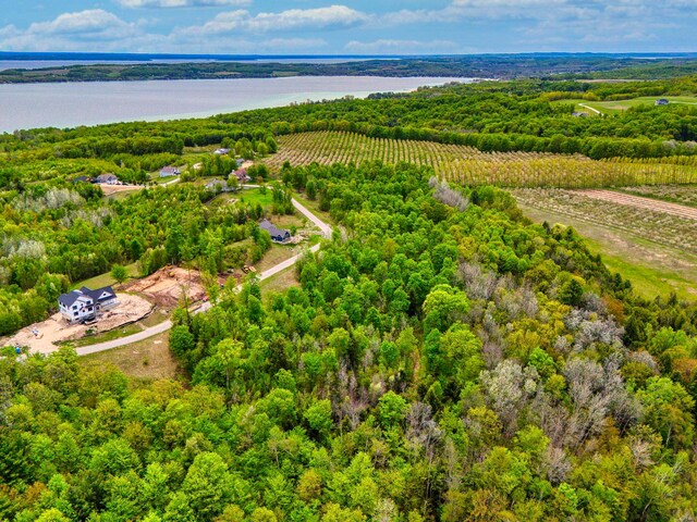 1949 N Blue Water Ct, Suttons Bay, MI 49682
