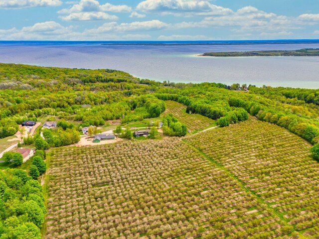1949 N Blue Water Ct, Suttons Bay, MI 49682