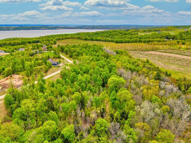 1949 N Blue Water Ct, Suttons Bay, MI 49682