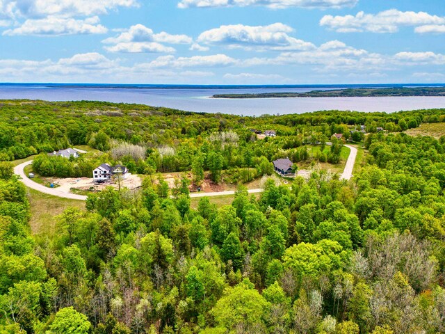 1949 N Blue Water Ct, Suttons Bay, MI 49682