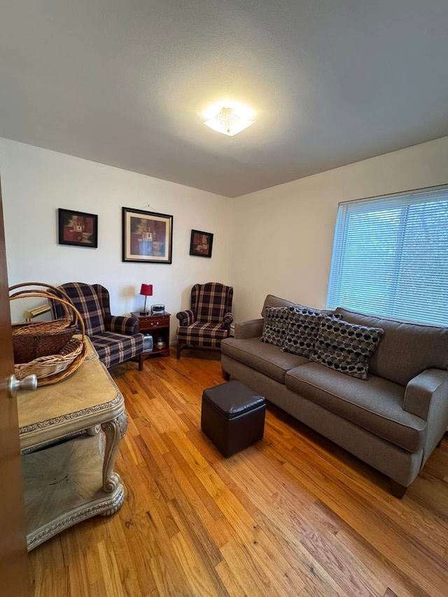 living room featuring hardwood / wood-style floors