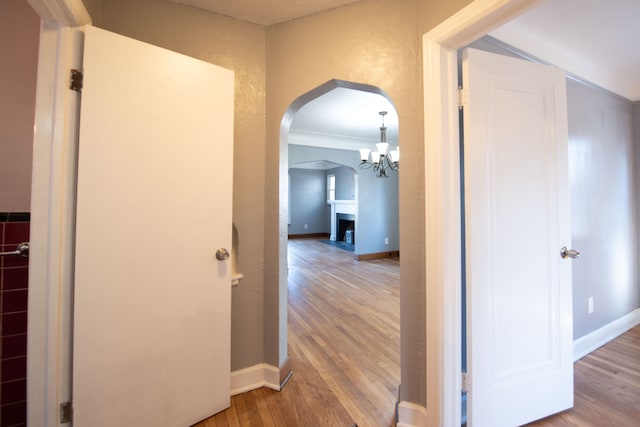 corridor with a chandelier, light hardwood / wood-style floors, and ornamental molding