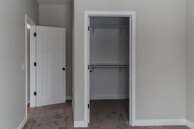 interior space featuring a closet and carpet floors