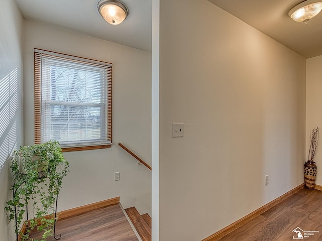 interior space with hardwood / wood-style floors