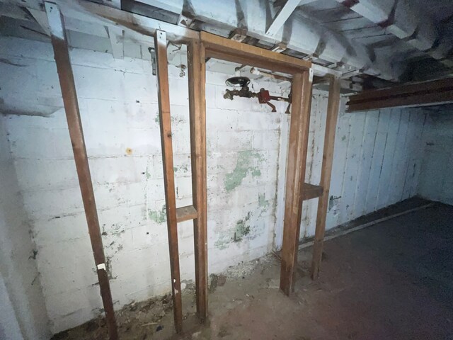 view of unfinished basement