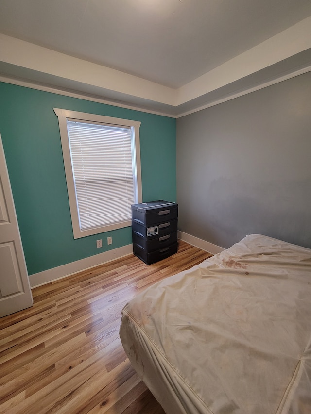 bedroom with light hardwood / wood-style floors and a raised ceiling